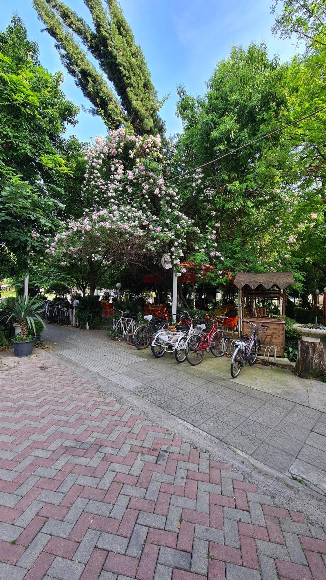 Dei Cozy Apartment Shkodër 外观 照片